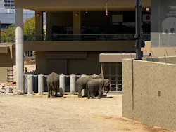 天王寺動物園に投稿された画像（2026/4/13）