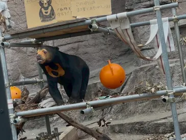 天王寺動物園に投稿された画像（2026/4/13）