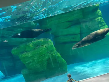天王寺動物園に投稿された画像（2026/4/13）