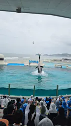 鴨川シーワールドに投稿された画像（2026/4/13）