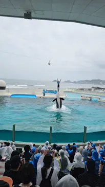鴨川シーワールドに投稿された画像（2026/4/13）