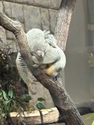 名古屋市東山動植物園に投稿された画像（2026/4/13）