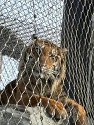 名古屋市東山動植物園に投稿された画像（2026/4/13）