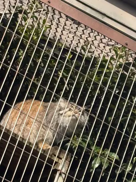 名古屋市東山動植物園に投稿された画像（2026/4/13）