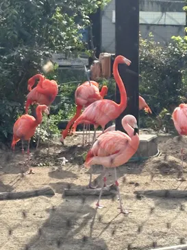 名古屋市東山動植物園に投稿された画像（2026/4/13）