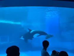 名古屋港水族館に投稿された画像（2026/4/13）
