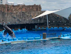 名古屋港水族館に投稿された画像（2026/4/13）