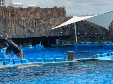 名古屋港水族館に投稿された画像（2026/4/13）