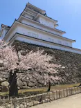 鶴ヶ城に投稿された画像（2026/4/13）