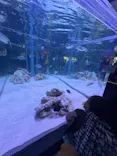 すみだ水族館に投稿された画像（2026/4/13）