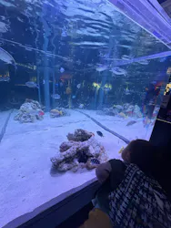 すみだ水族館に投稿された画像（2026/4/13）