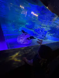 すみだ水族館に投稿された画像（2026/4/13）