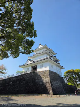 小田原城に投稿された画像（2026/4/13）