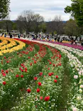 万博記念公園に投稿された画像（2026/4/13）