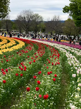 万博記念公園に投稿された画像（2026/4/13）