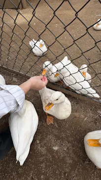 伊豆シャボテン動物公園に投稿された画像（2026/4/13）