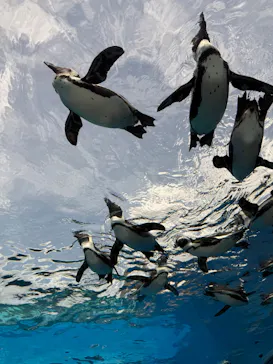 サンシャイン水族館に投稿された画像（2026/4/13）