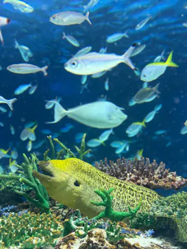 サンシャイン水族館に投稿された画像（2026/4/13）