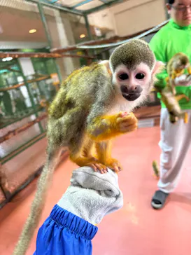 那須ワールドモンキーパークに投稿された画像（2026/4/13）