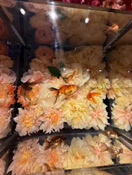 NARA KINGYO MUSEUMに投稿された画像（2026/4/13）