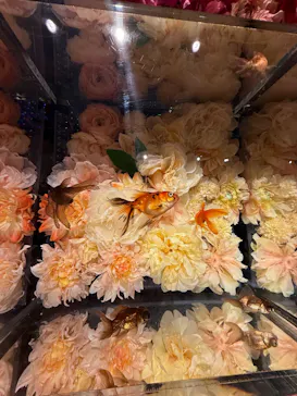 NARA KINGYO MUSEUMに投稿された画像（2026/4/13）