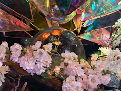 NARA KINGYO MUSEUMに投稿された画像（2026/4/13）