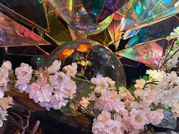 NARA KINGYO MUSEUMに投稿された画像（2026/4/13）