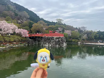 勝尾寺に投稿された画像（2026/4/13）