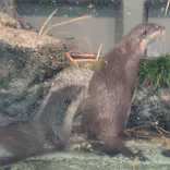 サンシャイン水族館に投稿された画像（2026/4/13）