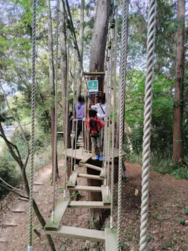 冒険の森おうじに投稿された画像（2026/4/13）