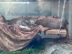 サンシャイン水族館に投稿された画像（2026/4/13）