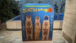 サンシャイン水族館に投稿された画像（2026/4/13）