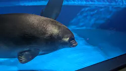 サンシャイン水族館に投稿された画像（2026/4/13）
