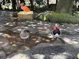 伊豆シャボテン動物公園に投稿された画像（2026/4/13）