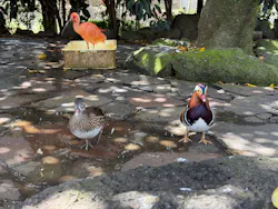 伊豆シャボテン動物公園に投稿された画像（2026/4/13）