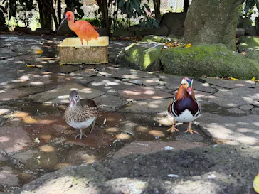伊豆シャボテン動物公園に投稿された画像（2026/4/13）