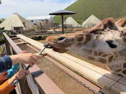 伊豆シャボテン動物公園に投稿された画像（2026/4/13）