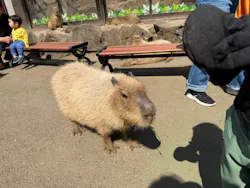 伊豆シャボテン動物公園に投稿された画像（2026/4/13）