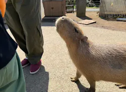 伊豆シャボテン動物公園に投稿された画像（2026/4/13）
