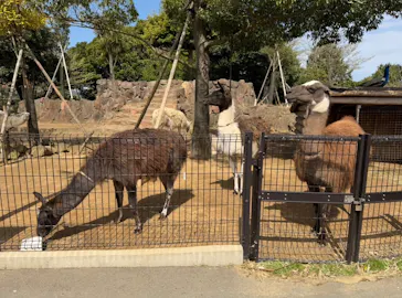 伊豆シャボテン動物公園に投稿された画像（2026/4/13）