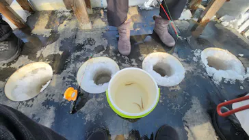 とれた小屋ふじい農場に投稿された画像（2026/4/13）