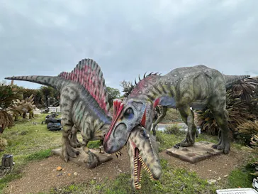 伊豆ぐらんぱる公園に投稿された画像（2026/4/13）