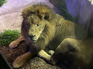 沖縄こどもの国に投稿された画像（2026/4/13）