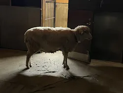 沖縄こどもの国に投稿された画像（2026/4/13）