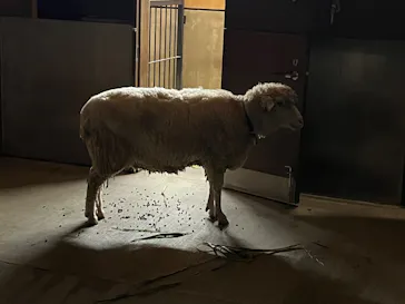 沖縄こどもの国に投稿された画像（2026/4/13）