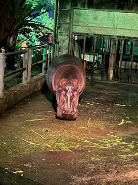 沖縄こどもの国に投稿された画像（2026/4/13）