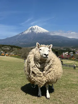 まかいの牧場に投稿された画像（2026/4/13）