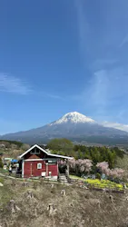 まかいの牧場に投稿された画像（2026/4/13）