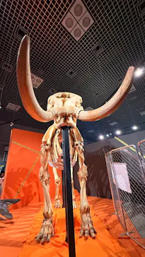 特別展「超危険生物展　科学で挑む生き物の本気」に投稿された画像（2026/4/13）