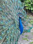伊豆シャボテン動物公園に投稿された画像（2026/4/14）